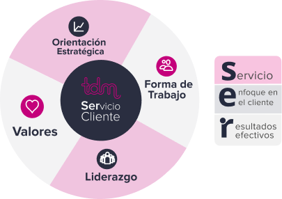 Gráfico circular con secciones sobre orientación estratégica, valores, forma de trabajo y liderazgo, centrado en el servicio al cliente.