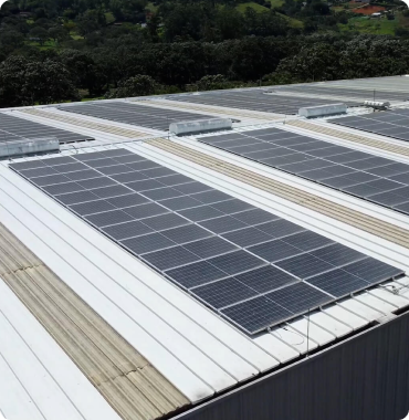 Paneles solares instalados en el techo de un edificio en una zona verde y arbolada.